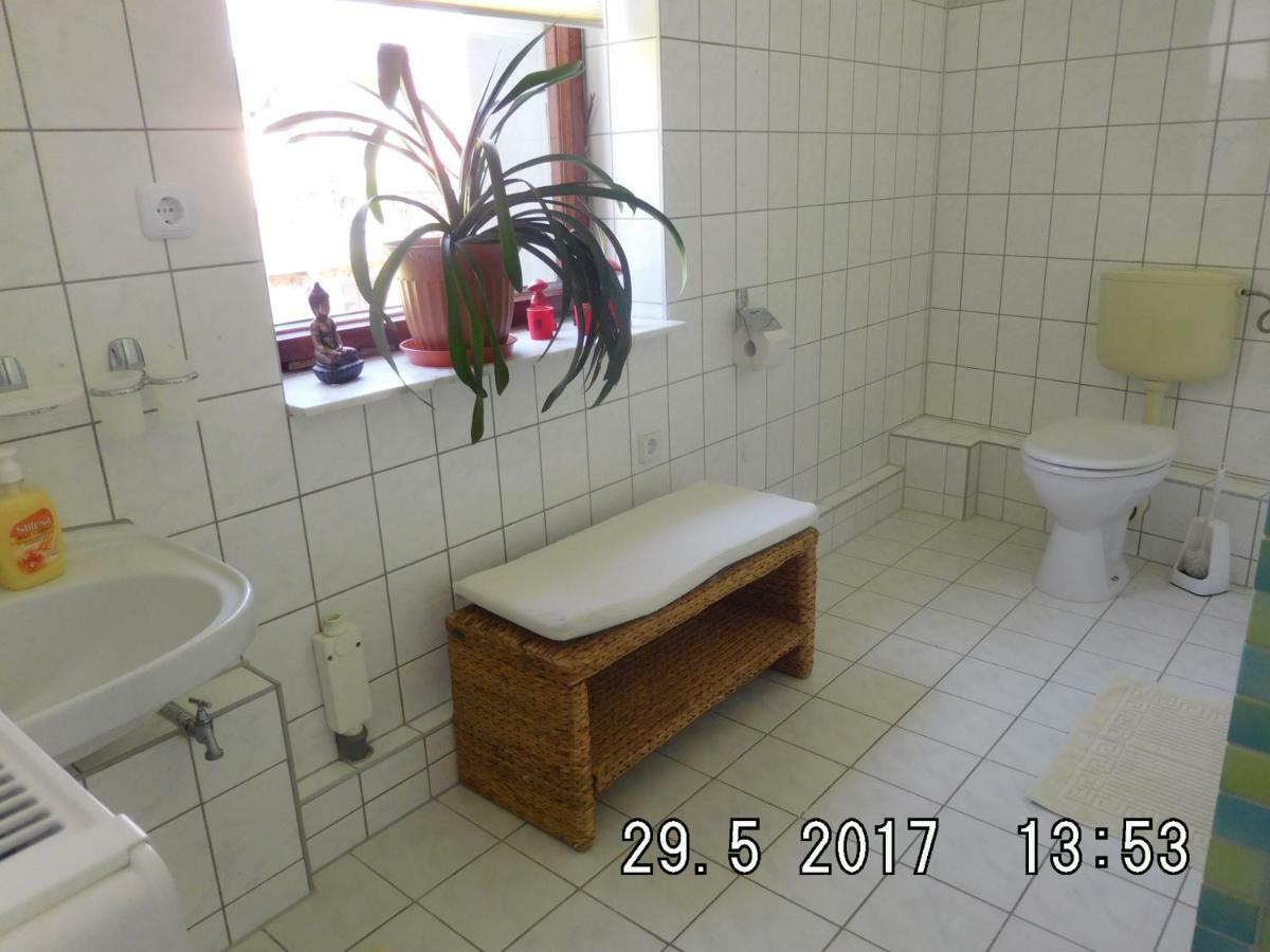 Ferienwohnung Am Schloss Torgau Exteriör bild
