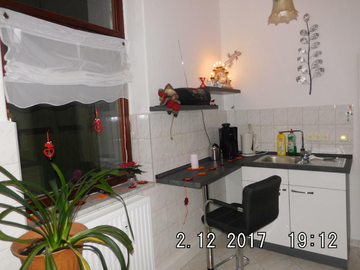 Ferienwohnung Am Schloss Torgau Exteriör bild